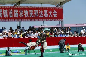 那达慕 男儿三艺尽显草原豪情图片