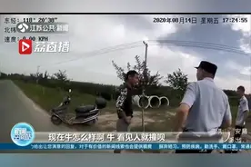 公牛突然发疯狂躁伤人 砰！民警持枪当场击毙疯牛图片