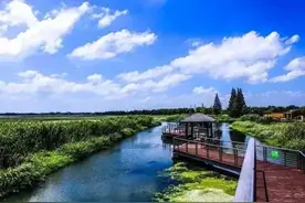 厉害了，青浦这个村入选中国好玩乡村图片