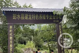 彭水三义乡旧貌换了新颜！村民都说：小康幸福路上是两江新区帮扶解了愁圆了梦图片