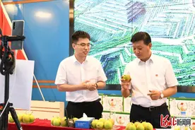 河北建设集团董事长李宝忠直播带货 助力老区脱贫攻坚图片