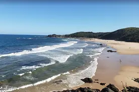 澳大利亚冲浪者为救妻子跳上鲨鱼，徒手猛击大白鲨8次图片