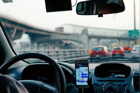 花小猪为什么存在？图片