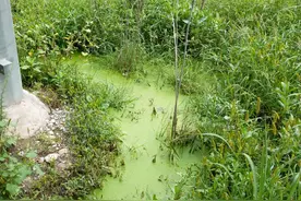 朔州一污水处理厂漏水淹农地，回应：大修得停产，暂无法解决图片