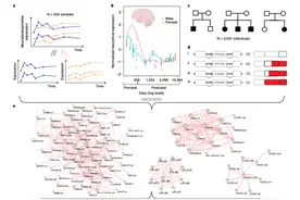 AI成放大镜可精准识别自闭症亚型，有助于自闭症早期筛查图片