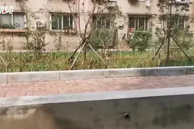 一小区一方案 老旧小区“改”出满满幸福感图片