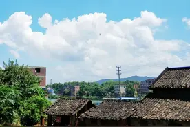 漫步林荫小路图片