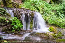 洛阳周边竟藏了个“北方莫干山”，游玩攻略已备好！快出发！图片