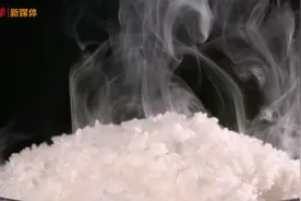 古画放大：一粒米怎样走上古人的餐桌？看完我一粒米也不敢剩了图片