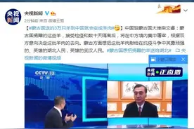中国驻蒙古国大使：蒙古国送的3万只羊到中国就会变成羊肉图片