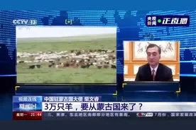 蒙古国捐赠的3万只羊，去向明确了视频封面
