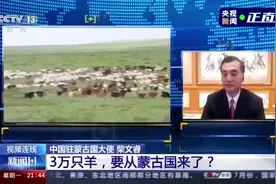 蒙古国捐赠的3万只羊，去向明确了视频封面