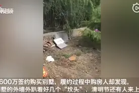 4600万买的别墅院外就是“坟头”，清明节还有人上坟，法院未作判决图片