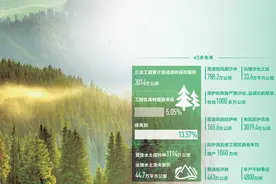 三北工程造林保存面积超3000万公顷图片