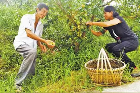 走向我们的小康生活｜“日子好了，再没什么心病了”图片