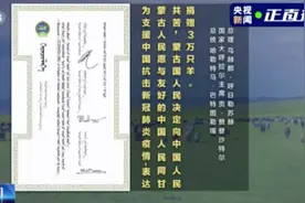 蒙古国捐赠的3万只羊，去向明确了图片