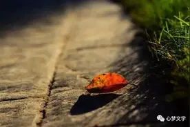 林建明 | 光阴的故事图片