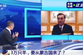 蒙古国捐赠的3万只羊，去向明确了图片