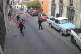 忠犬护主！墨西哥一条警犬为保护警察扑向持刀歹徒图片
