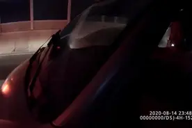“我有病，恁小声点……”郑州一司机酒驾遇交警，花式逃避处罚图片