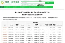 新政！南京挂出9幅地块，达最高限价后不再竞人才房改为摇号图片