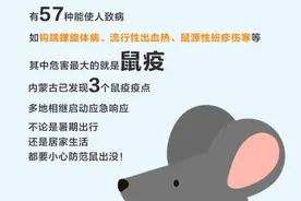 “鼠”它毒！有人被毒到肾衰竭，这些地方要注意图片