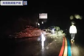 四川雅安暴雨致多地受灾 多处道路中断图片