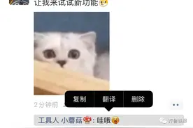 微信增加新功能：朋友圈不喜欢的评论可以删除了图片