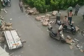 “车祸后10吨猪肉遭哄抢”后续：5人被行拘，行为构成哄抢公私财物图片