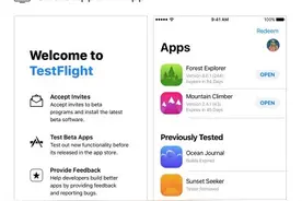 一些开发者将TestFlight当成了地下App Store图片