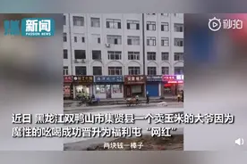 “五块钱给你仨棒子”东北大爷魔性吆喝 网友：买个玉米快把命搭上了图片