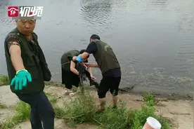 见一个揪一个 竟有人暗藏地笼子在河道捕鱼图片
