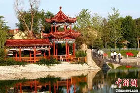 莫言故乡红高粱地里“野鸡变凤凰”图片