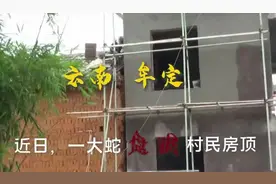 警察缘何上房揭瓦？原来屋顶有条大蛇图片