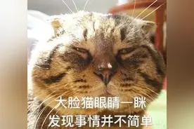 “名媛”KTV消费12万却赖账：“虚假人设坑自己”活教材 | 沸话图片