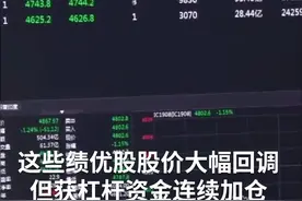 中国财富报道｜错杀股名单来了 机构看涨这些绩优股视频封面