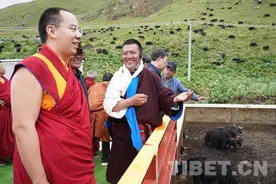 盼产业兴旺，阅秀美风光，十一世班禅心系家乡父老图片