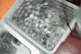 邻居吓懵！杭州小伙养了几千只蜘蛛，还同吃同住！现场曝光图片