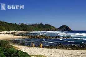 女子冲浪遭鲨鱼袭击 丈夫冲过去就是一顿揍图片