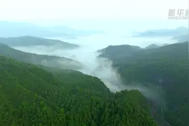 山水间的“青春之歌”视频封面