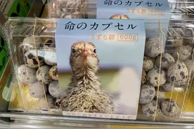 日本鹌鹑蛋包装引热议 网友：太可爱，下不去嘴（图）图片