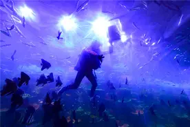 省内最大规模的极地主题馆开馆 内有百余只极地动物，还有4头北极熊标本图片