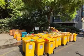要么被吵醒，要么被熏醒，杭州一小区垃圾集中点边上楼栋的居民真心吃不消图片