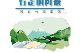 《行走的风景》之国家公园系列｜神农架 野人的传说图片