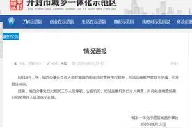 城管多次抱摔卖菜老太，暴力执法何时休图片