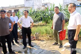 济宁：曲阜市领导到时庄街道调研采煤塌陷区综合治理和防汛工作图片