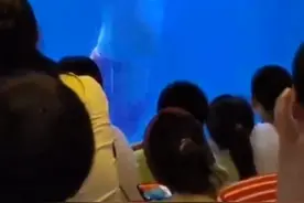 在海洋公园表演的男子回应扮美人鱼被指油腻：临时救场，怕吓哭小孩图片