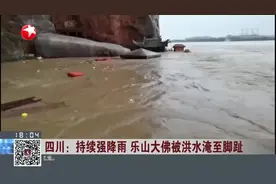 四川：持续强降雨  乐山大佛被洪水淹至脚趾视频封面