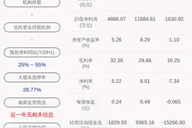 科大国创：控股股东合肥国创质押约600万股图片