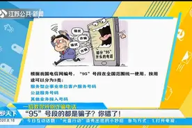 一招教你辨别诈骗电话！“95”号段的都是骗子？你错了！